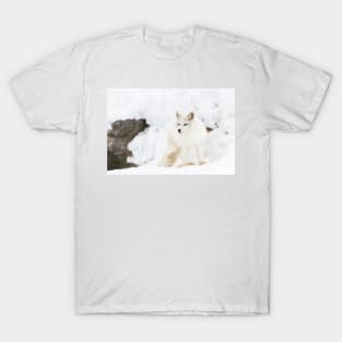 Arctic Fox T-Shirt